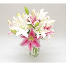 Vase Arrangements of White and Pink Lilies